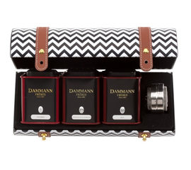 Набор Твист «Twist» в металлической шкатулке: 3 банки чая по 30 г + ситечко, Dammann, фото 1