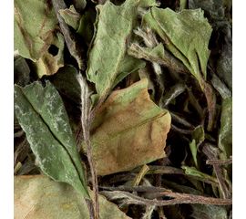 Чай зеленый листовой Pai Mu Tan «Pivoine blanche» / Пай Му Тан, вак.пакет 250 г, Dammann, фото 1