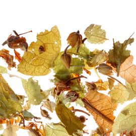 Чай травяной Japanese Linden (Японская Липа), 75 г, Althaus, фото 1