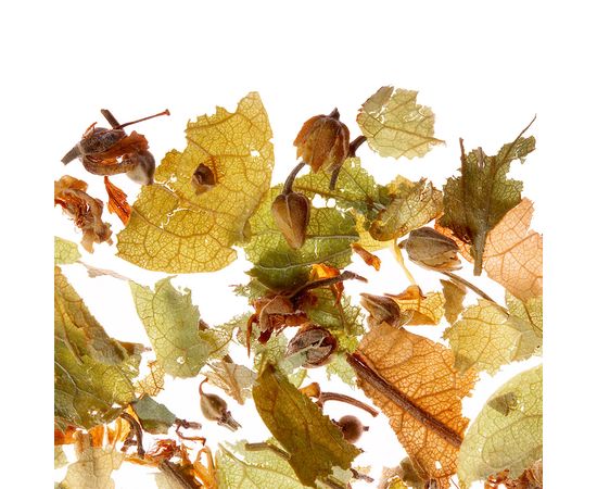 Чай травяной Japanese Linden (Японская Липа), 75 г, Althaus, фото 1