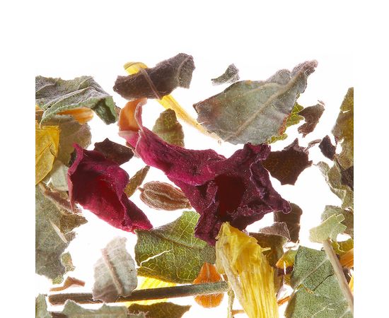 Чай травяной Wellness Cup (Велнес Кап), 75 г, Althaus, фото 1