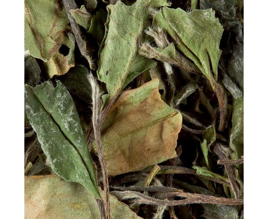 Чай зеленый листовой Pai Mu Tan «Pivoine blanche» / Пай Му Тан, вак.пакет 250 г, Dammann, фото 1